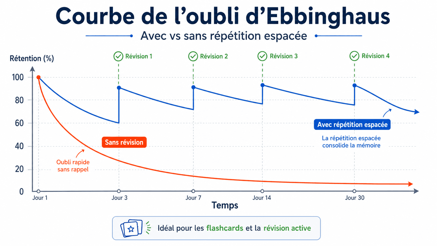 Schéma de la courbe d'oubli d'Ebbinghaus comparant la rétention sans révision et avec répétition espacée